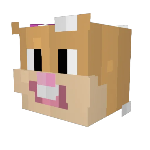 Kacper0407 Minecraft avatar head, 3D render