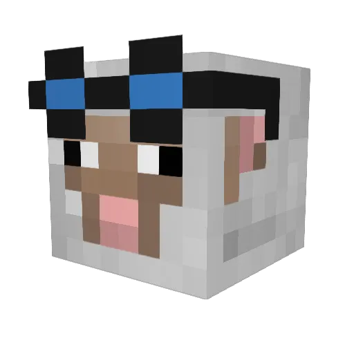 Kacper11PL Minecraft avatar head, 3D render