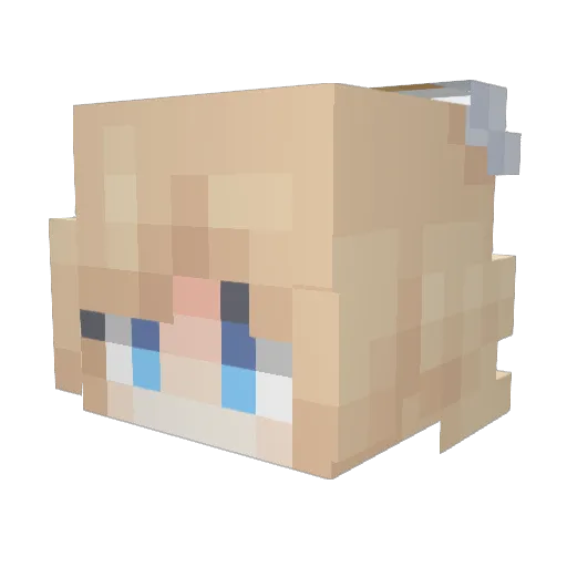 Kacper67 Minecraft avatar head, 3D render