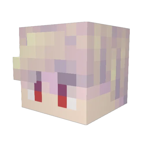 KacperLMAO Minecraft avatar head, 3D render
