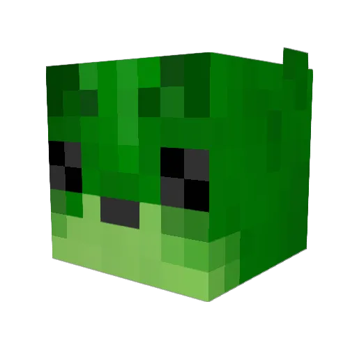 Kaczer1 Minecraft avatar head, 3D render
