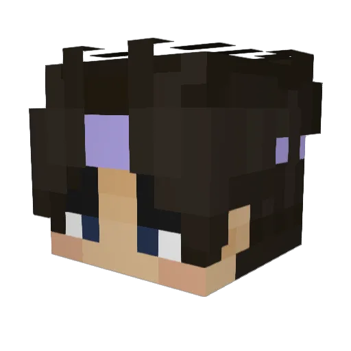 Kaczerek1 Minecraft avatar head, 3D render