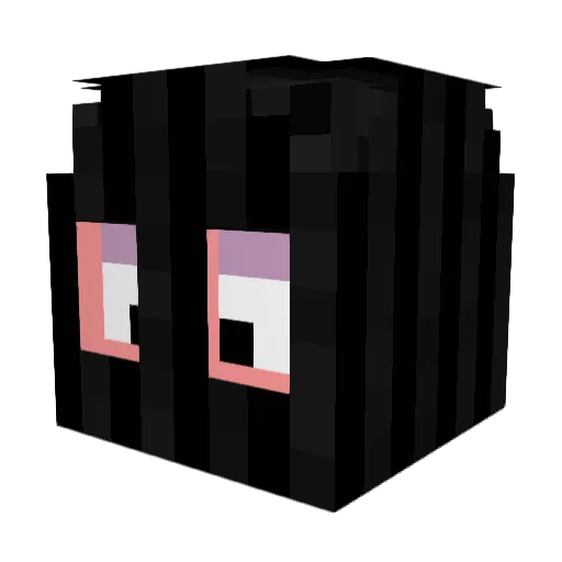 Kaczka24 Minecraft avatar head, 3D render