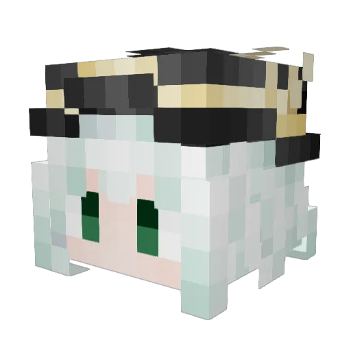 Kad2593 Minecraft avatar head, 3D render
