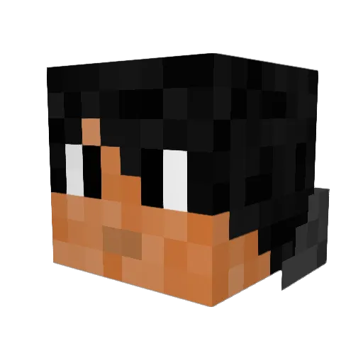 Kadashi Minecraft avatar head, 3D render