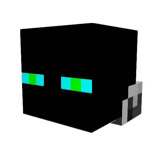 Kaden011 Minecraft avatar head, 3D render