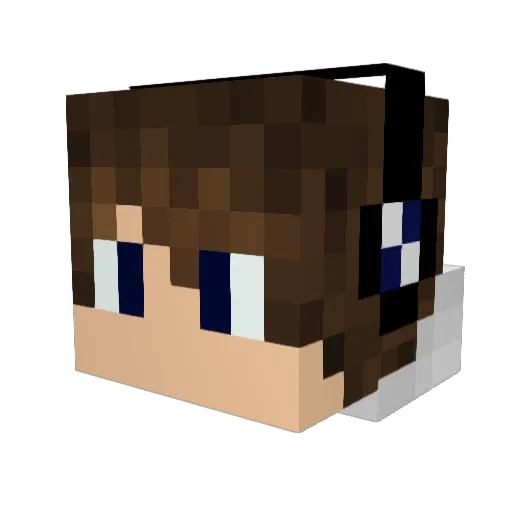 Kaden1901 Minecraft avatar head, 3D render
