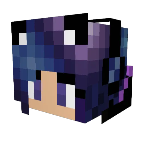Kaden279 Minecraft avatar head, 3D render