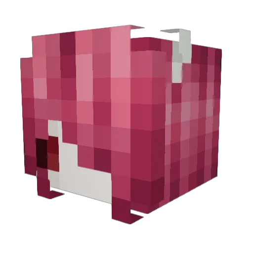 Kadenceeee Minecraft avatar head, 3D render