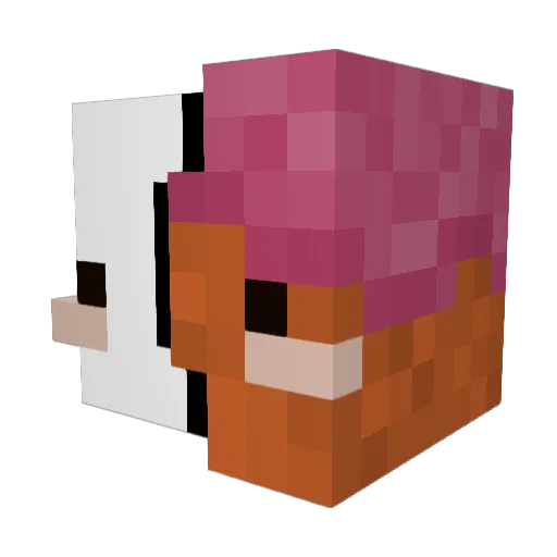 Kadonker Minecraft avatar head, 3D render