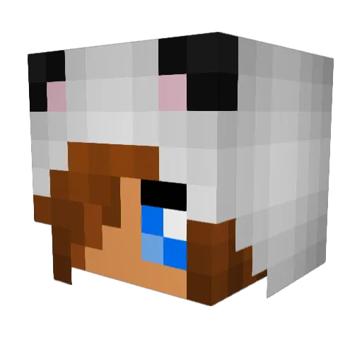 Kadoot2455 Minecraft avatar head, 3D render