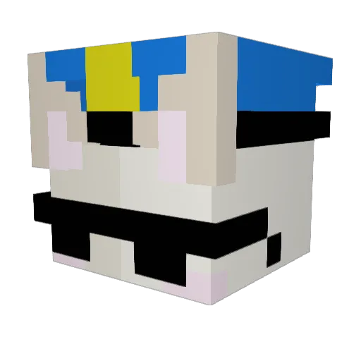 Kadotaa Minecraft avatar head, 3D render