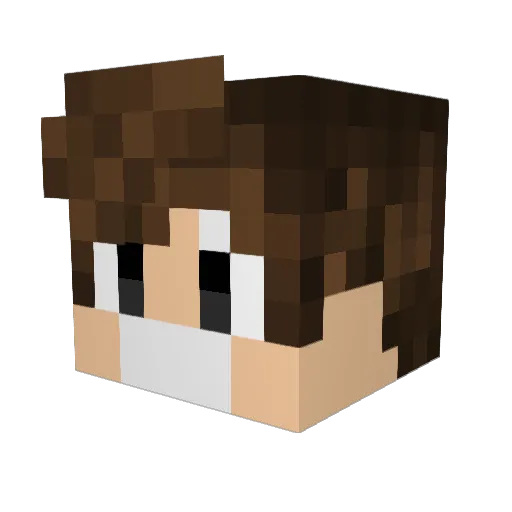 Kadraky Minecraft avatar head, 3D render