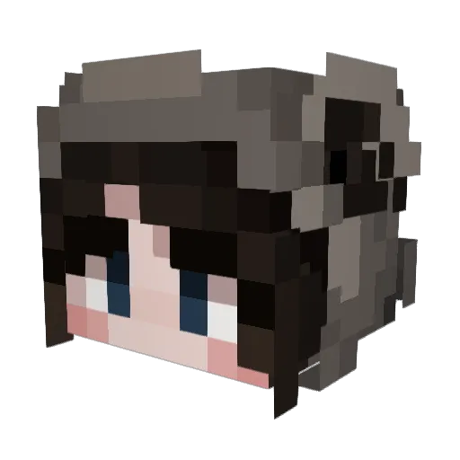 Kadsii Minecraft avatar head, 3D render