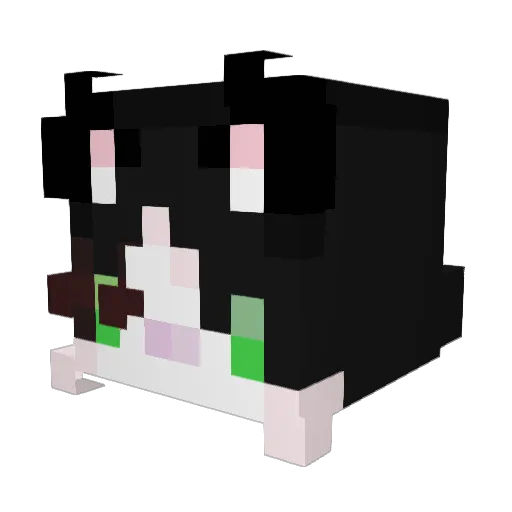 Kadssee Minecraft avatar head, 3D render