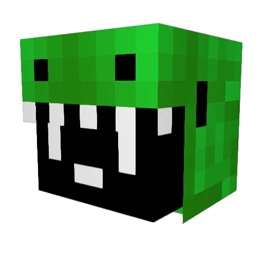 Kaede0248 Minecraft avatar head, 3D render