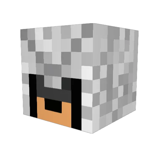 Kaelhua Minecraft avatar head, 3D render