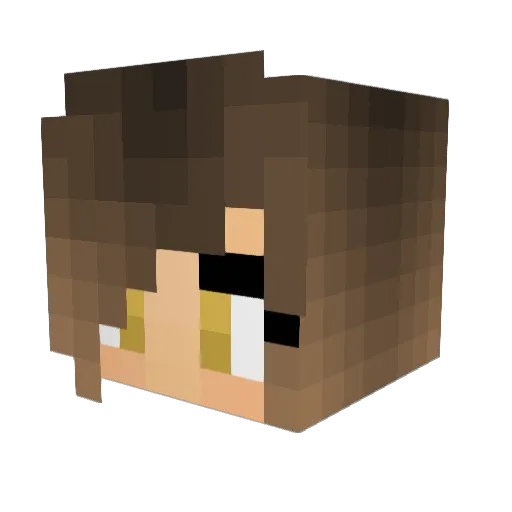KaelinF Minecraft avatar head, 3D render