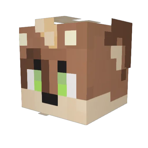 KaeloYote Minecraft avatar head, 3D render