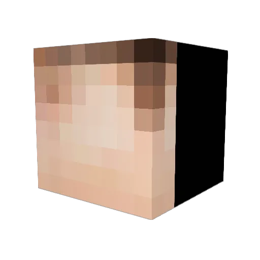 Kaelr Minecraft avatar head, 3D render