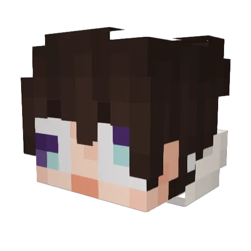 Kaeru09_ Minecraft avatar head, 3D render