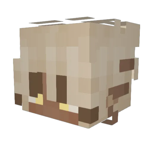 KaeruVa Minecraft avatar head, 3D render