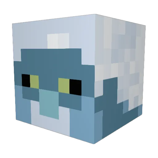 Kaeson2012 Minecraft avatar head, 3D render