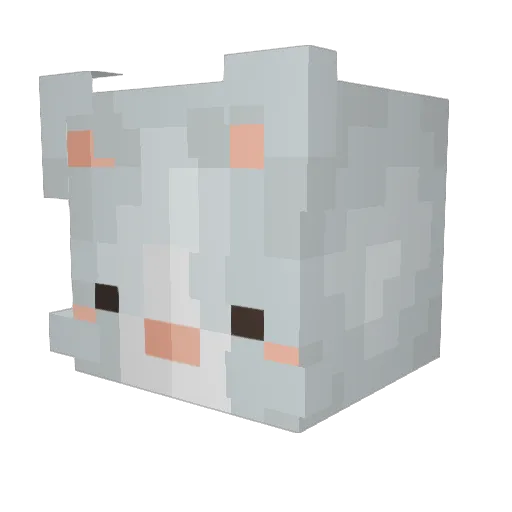 Kaetee Minecraft avatar head, 3D render