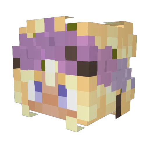 Kaeto_Syn Minecraft avatar head, 3D render