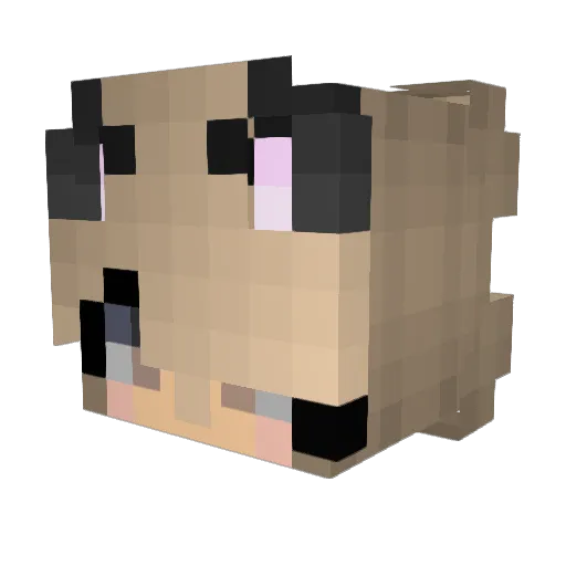 Kaetzchen_31 Minecraft avatar head, 3D render
