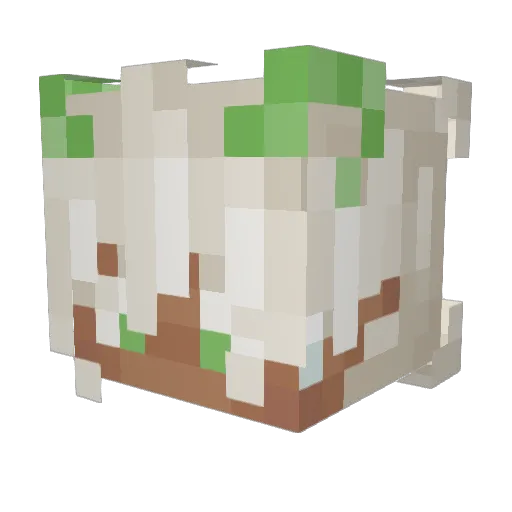 Kaewynn Minecraft avatar head, 3D render