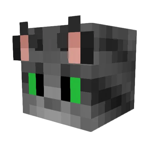 KafaAtanEjder Minecraft avatar head, 3D render