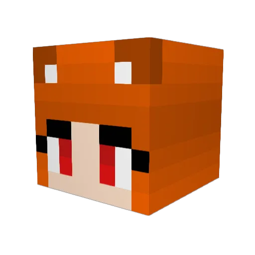 Kafaci31 Minecraft avatar head, 3D render