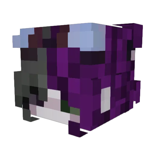 Kafk1h47 Minecraft avatar head, 3D render
