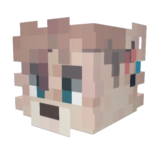 Kafkathebat Minecraft avatar head, 3D render