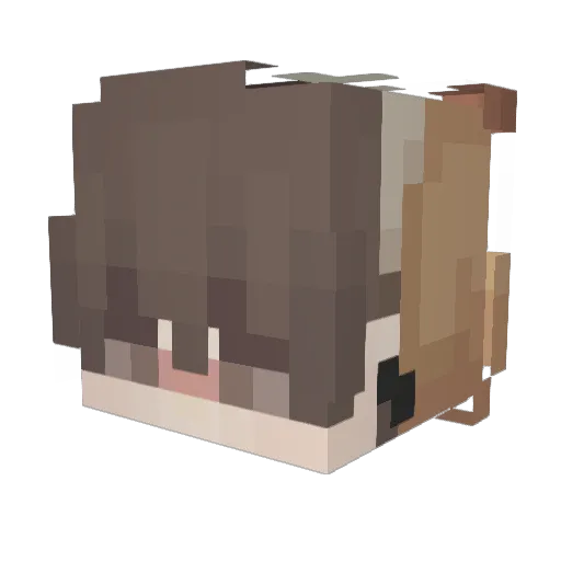 Kafo__ Minecraft avatar head, 3D render