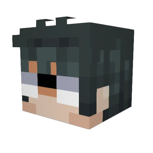 Kagan29 Minecraft avatar head, 3D render