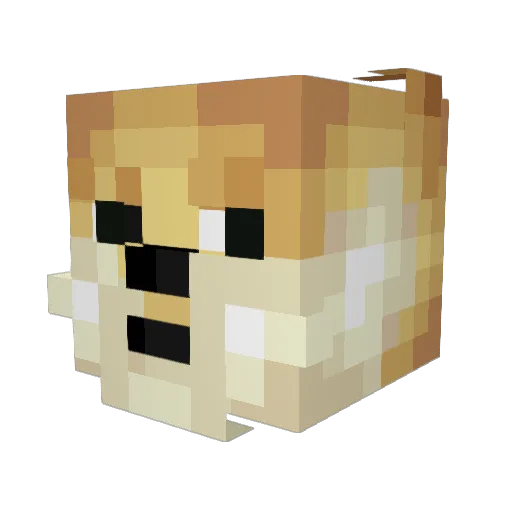 Kagedoge Minecraft avatar head, 3D render