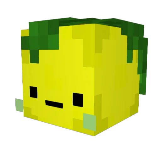 Kahlemon Minecraft avatar head, 3D render