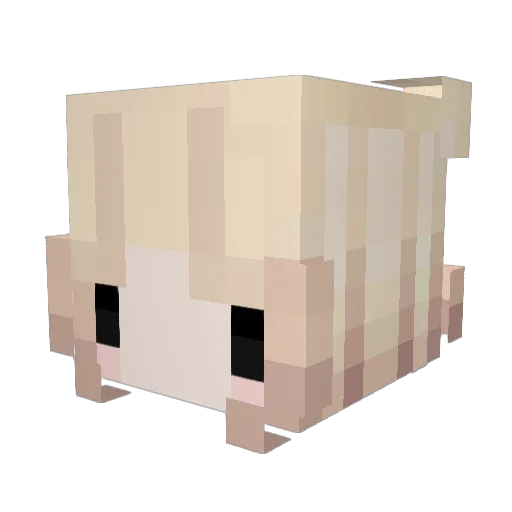 Kahterina Minecraft avatar head, 3D render