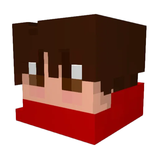Kai016 Minecraft avatar head, 3D render