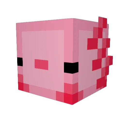 Kai2069 Minecraft avatar head, 3D render