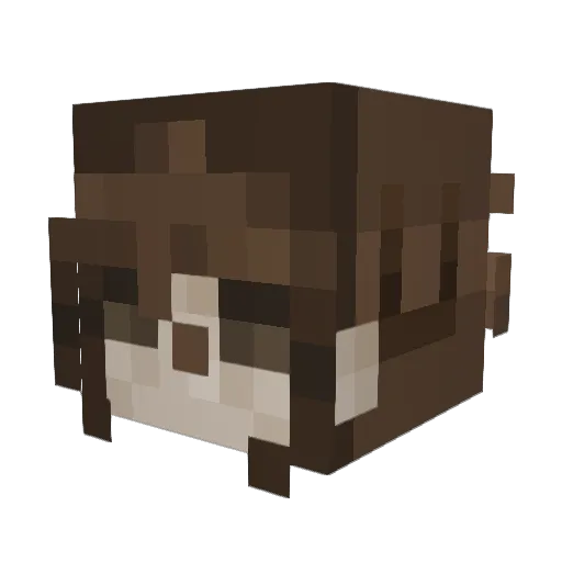 Kai2156 Minecraft avatar head, 3D render
