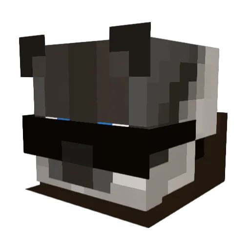 Kai737 Minecraft avatar head, 3D render