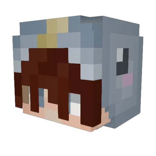 KaiCellist Minecraft avatar head, 3D render