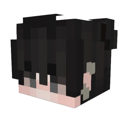 KaiLun_ Minecraft avatar head, 3D render