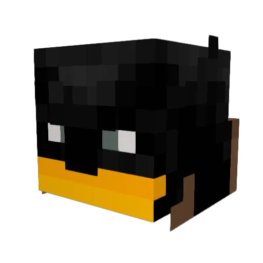 KaiST205 Minecraft avatar head, 3D render