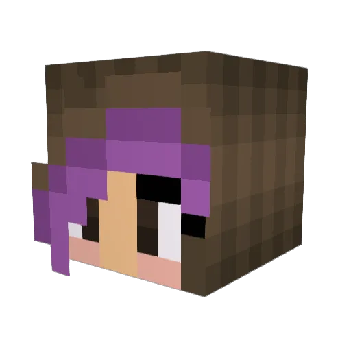 KaiSarah Minecraft avatar head, 3D render