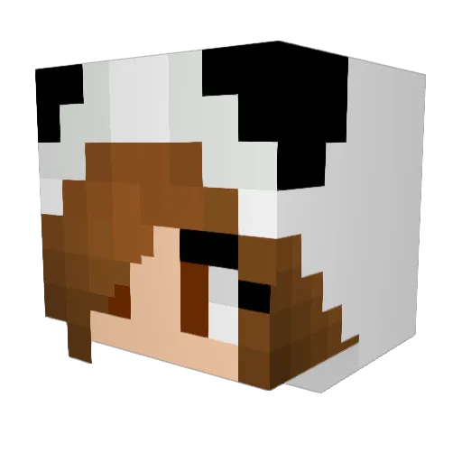 KaiTanner Minecraft avatar head, 3D render