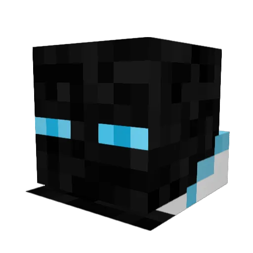 KaiThePanda5 Minecraft avatar head, 3D render